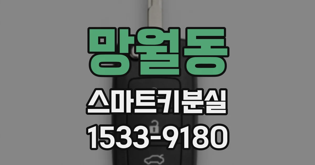 망월동 스마트키분실