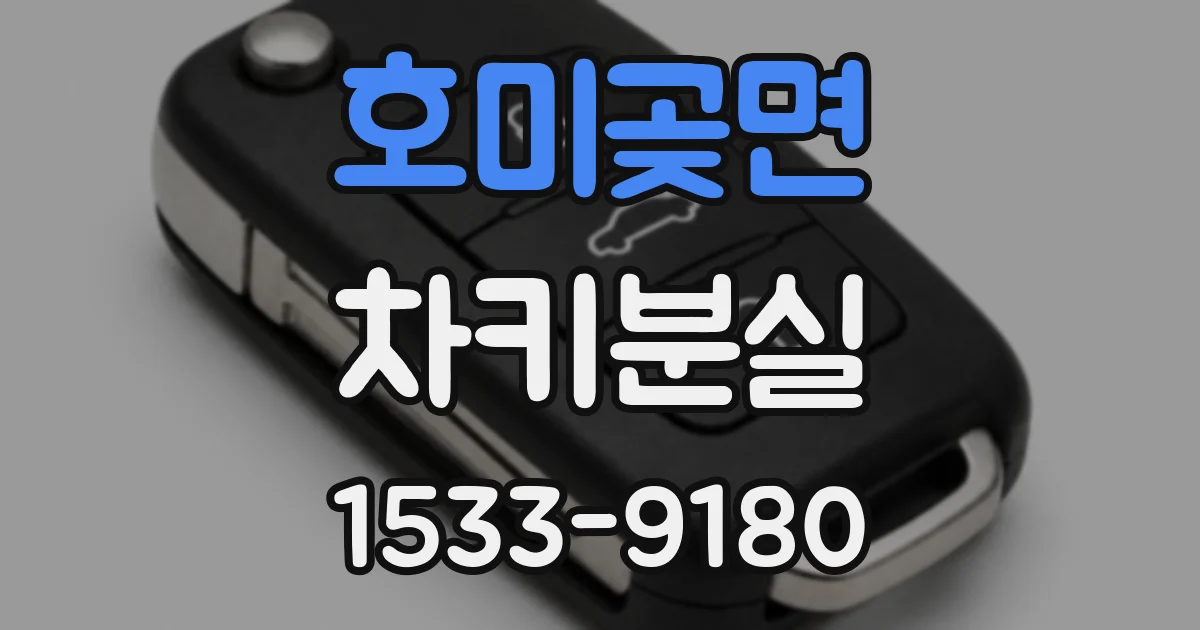 호미곶면 차키분실