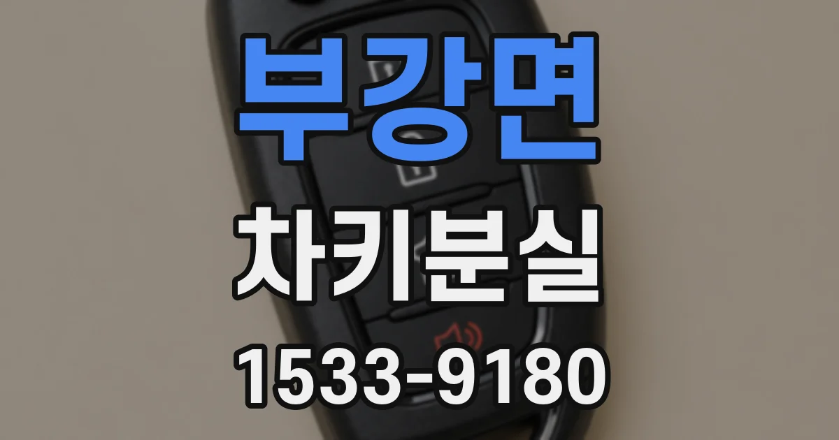 부강면 차키분실