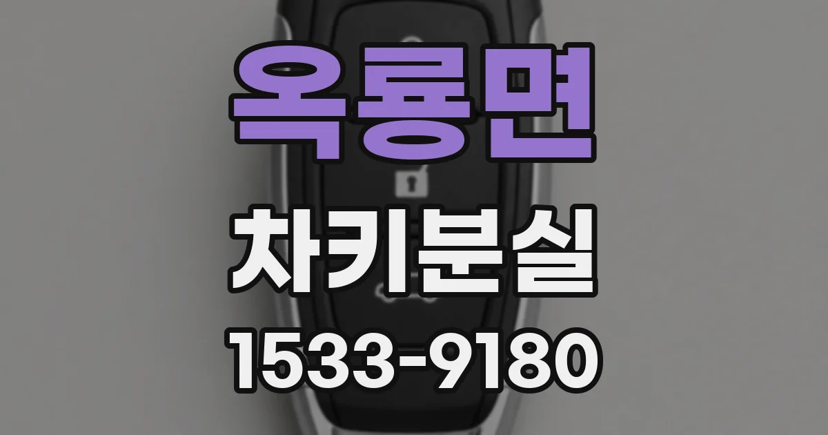 옥룡면 차키분실