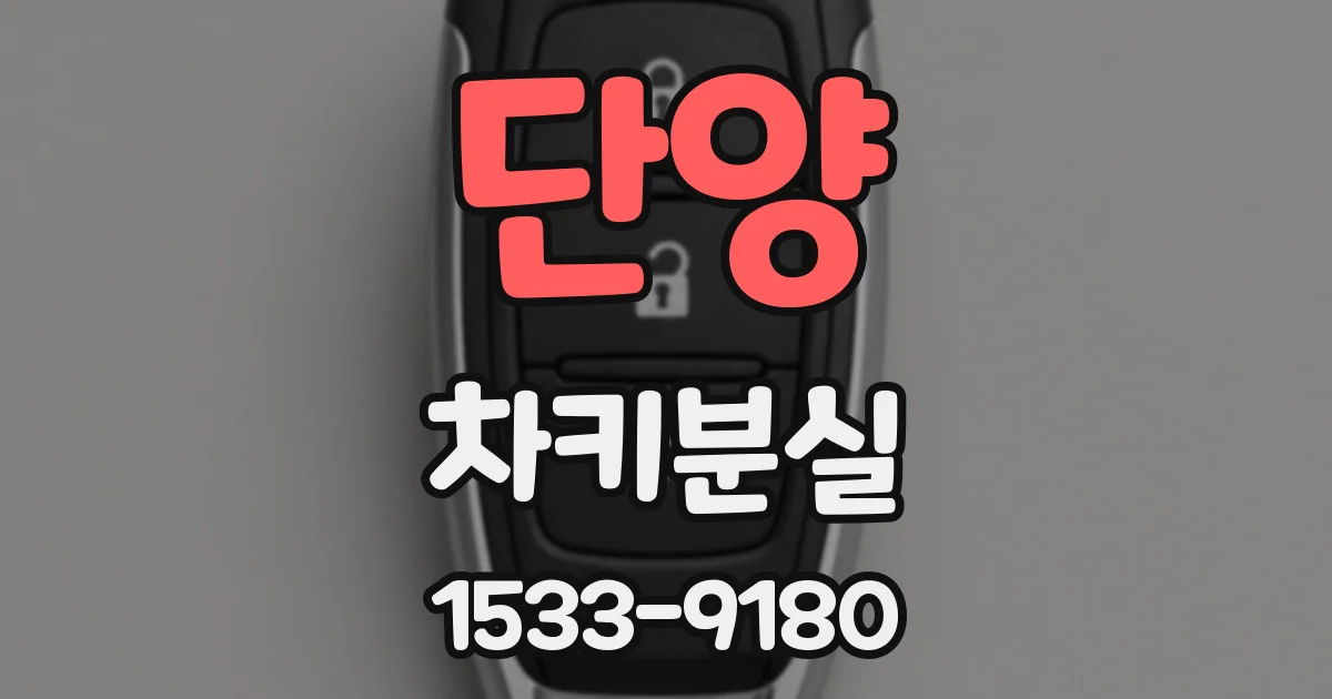 단양 차키분실