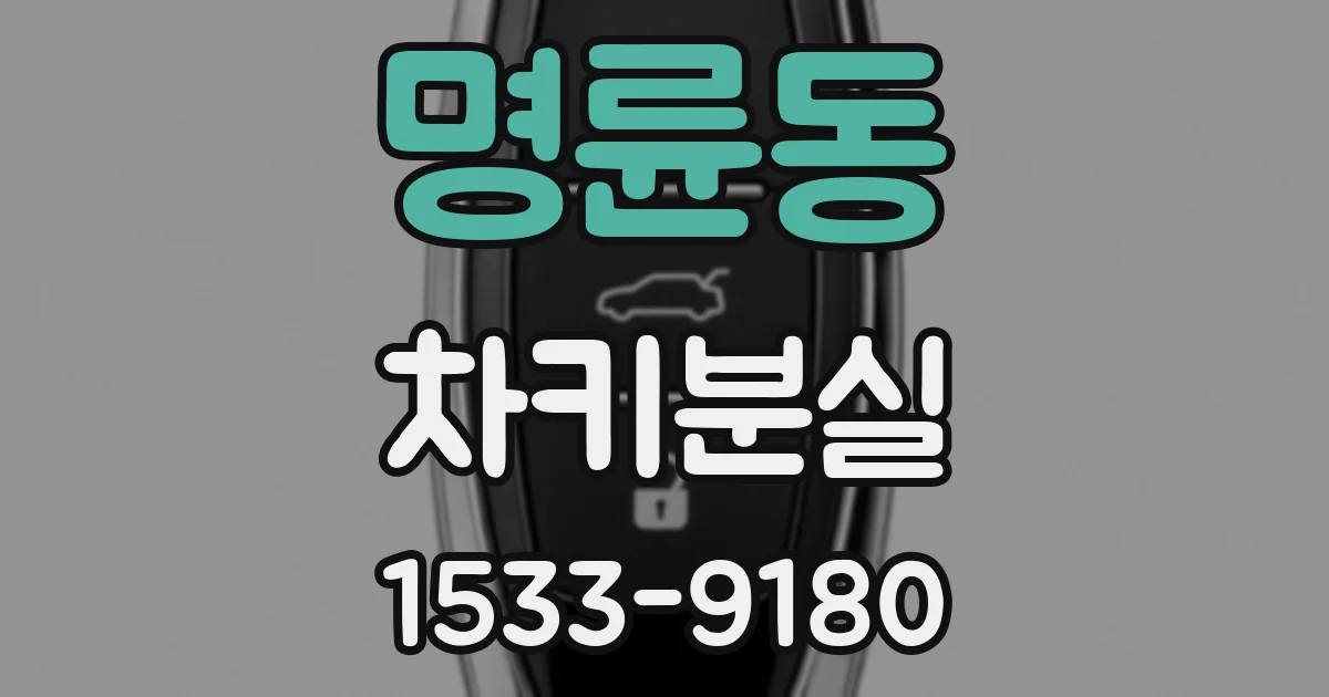 명륜동 차키분실