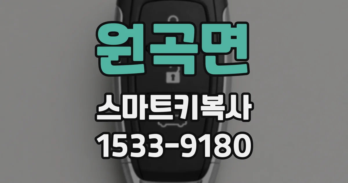 원곡면 스마트키복사