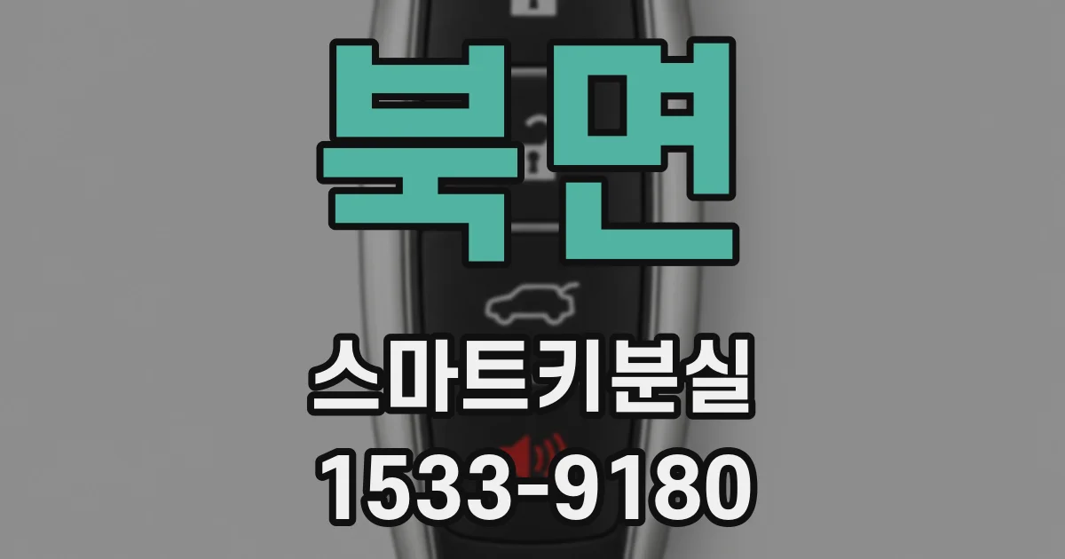 북면 스마트키분실