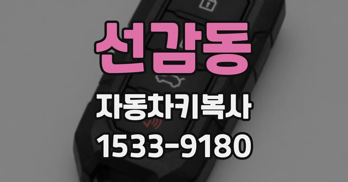 선감동 자동차키복사