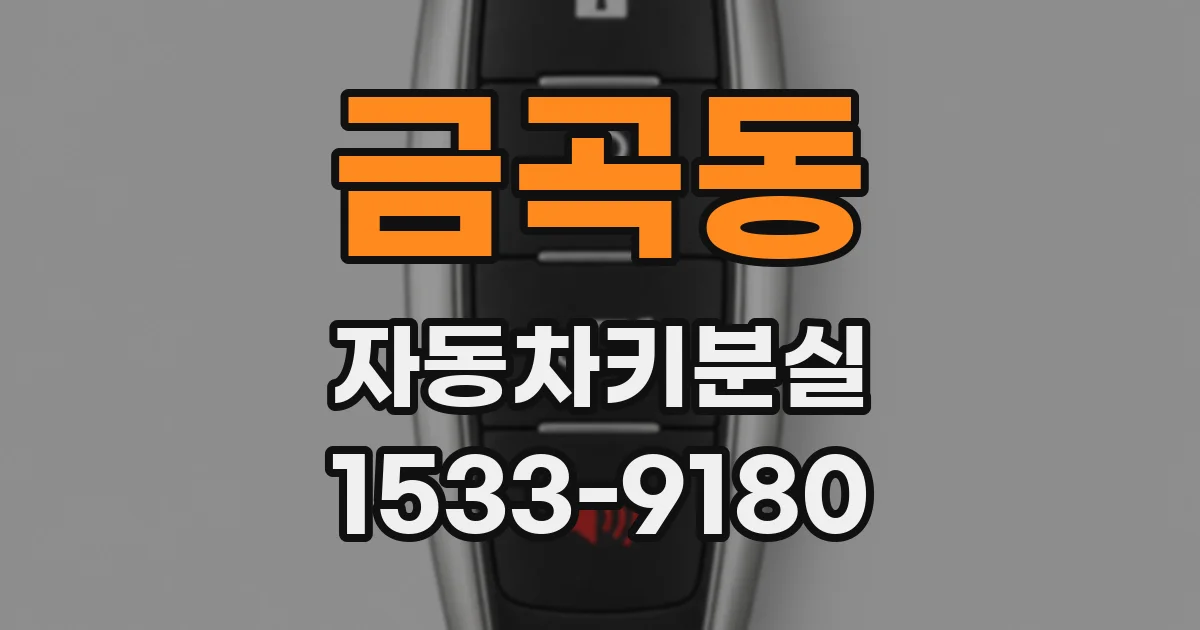 금곡동 자동차키분실