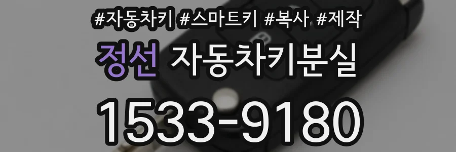 정선 자동차키분실