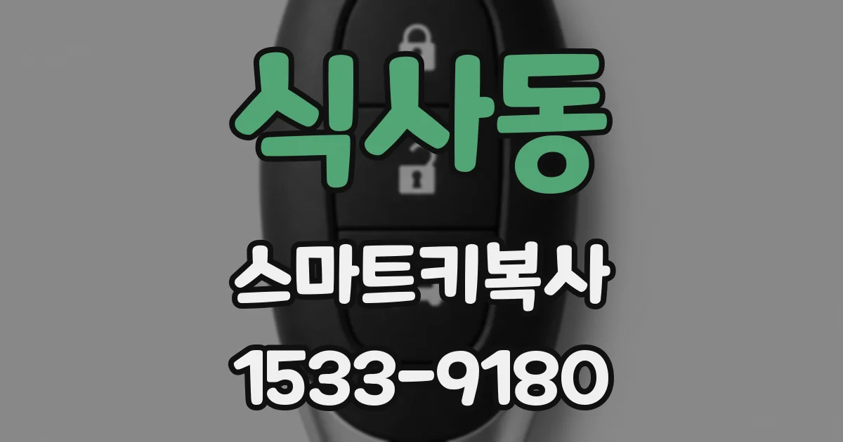 식사동 스마트키복사