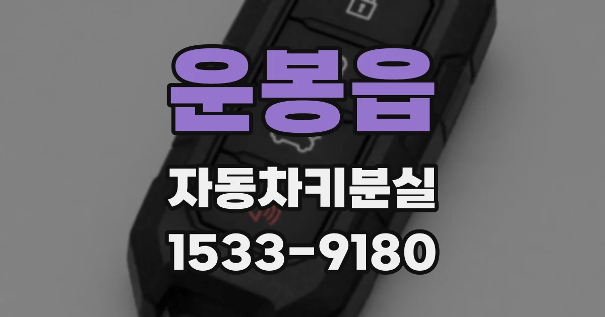 운봉읍 자동차키분실