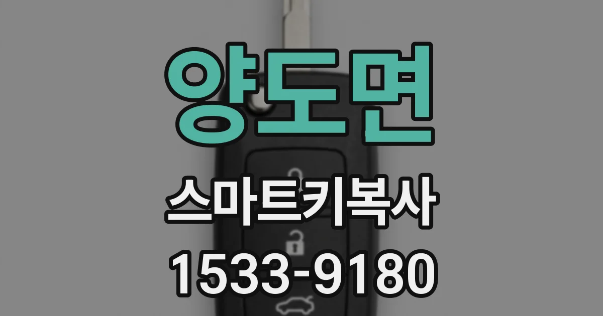 양도면 스마트키복사