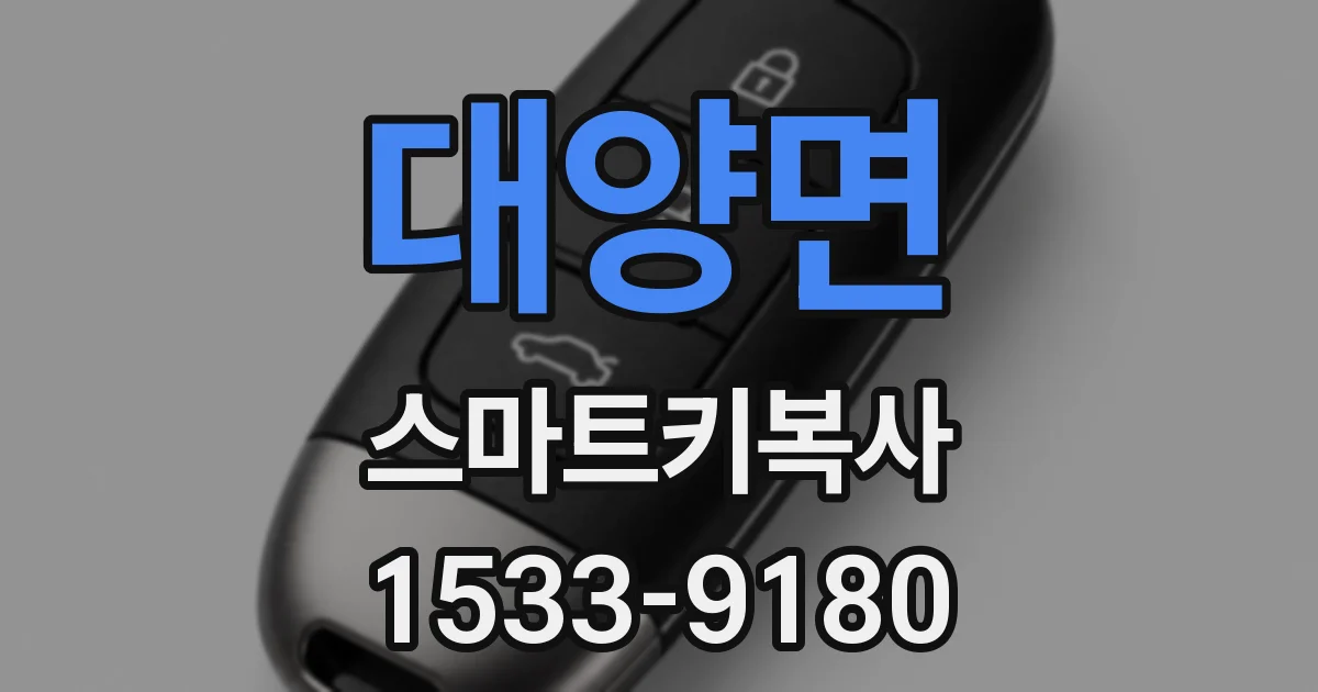 대양면 스마트키복사