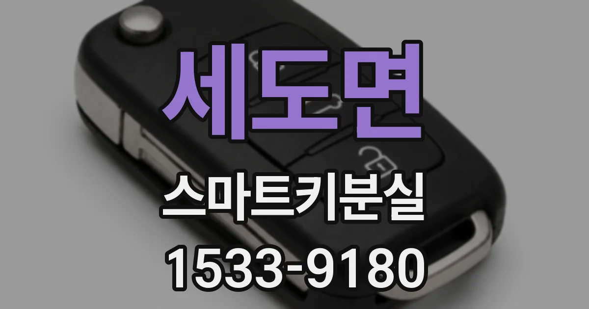 세도면 스마트키분실