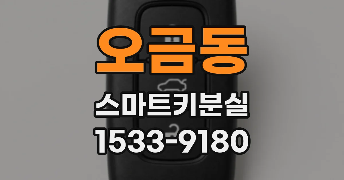오금동 스마트키분실