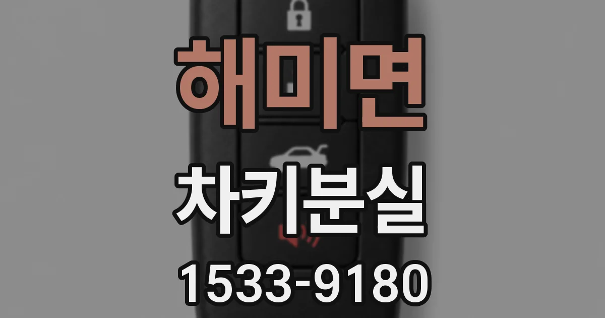 해미면 차키분실