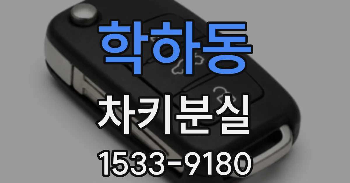 학하동 차키분실