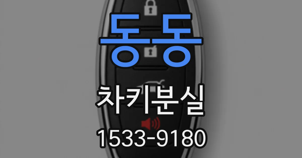 동동 차키분실