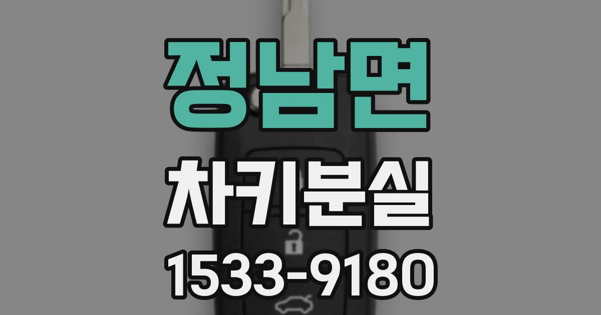 정남면 차키분실