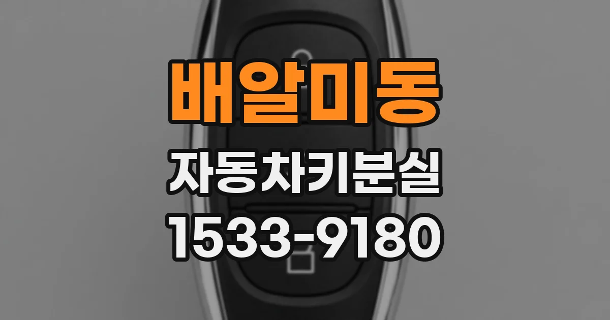 배알미동 자동차키분실