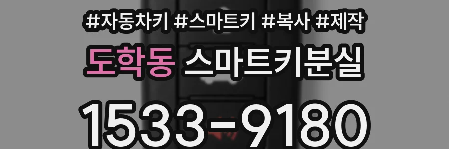 도학동 스마트키분실