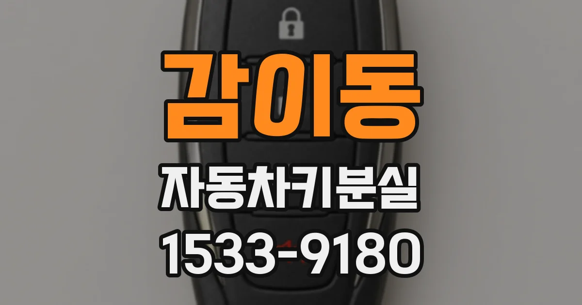 감이동 자동차키분실