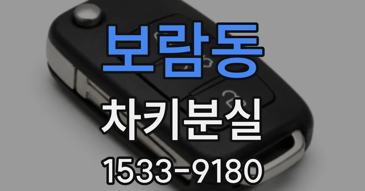 보람동 차키분실
