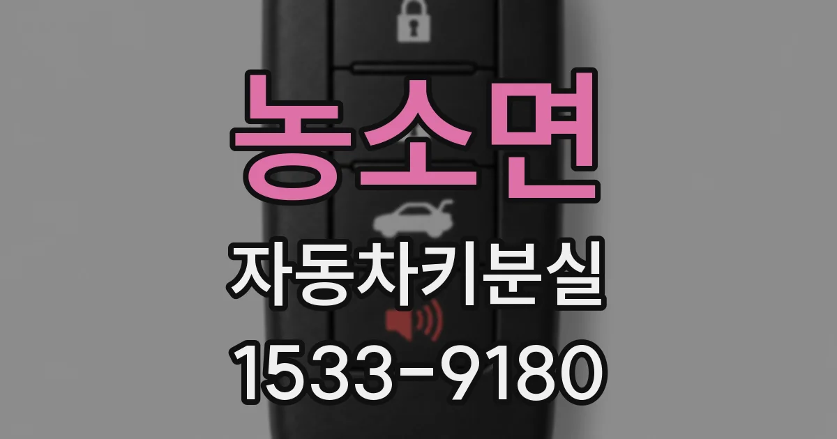 농소면 자동차키분실