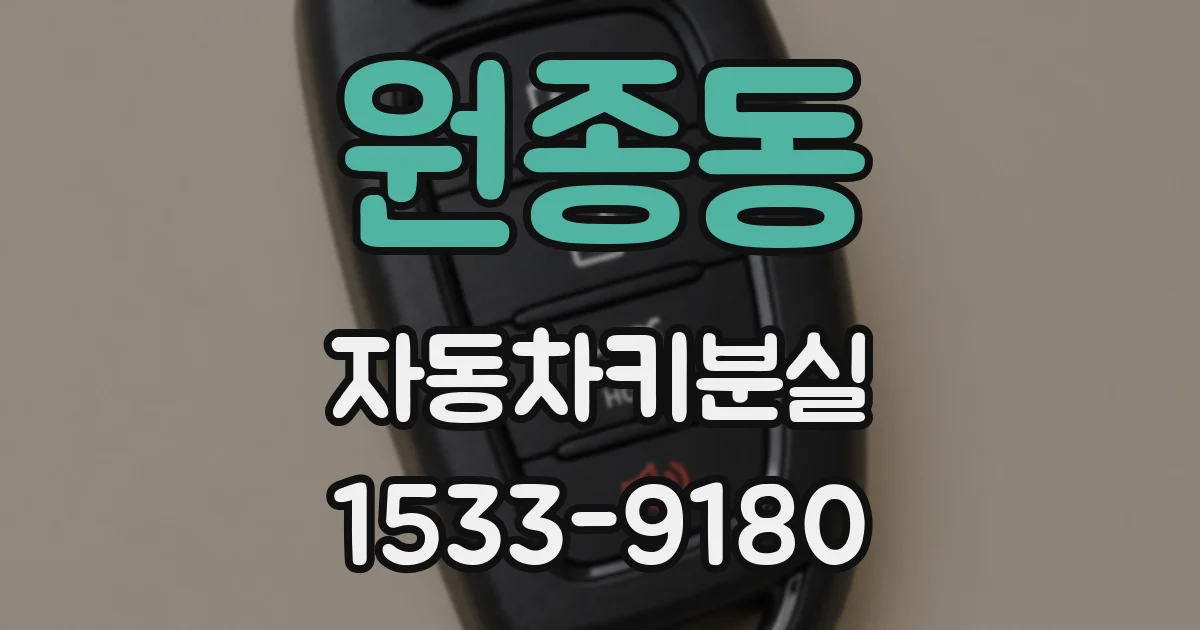 원종동 자동차키분실