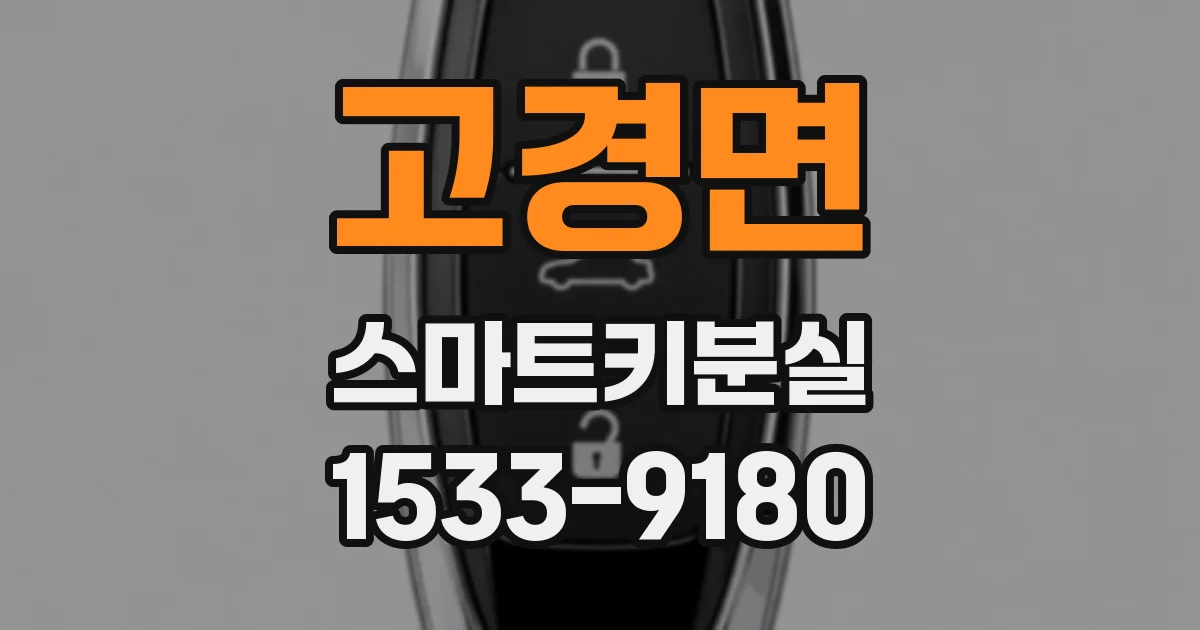 고경면 스마트키분실