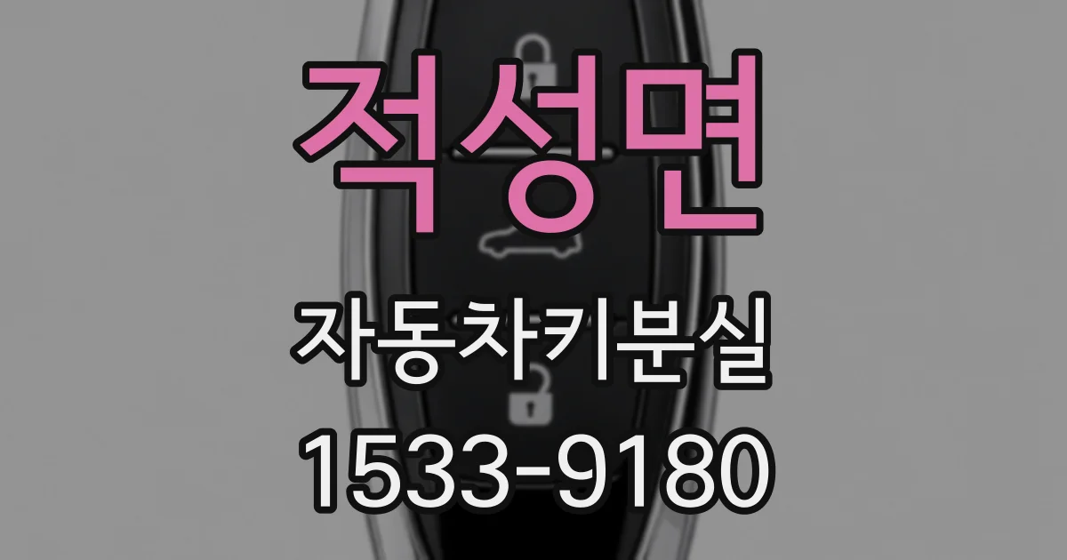 적성면 자동차키분실