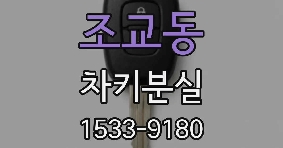 조교동 차키분실