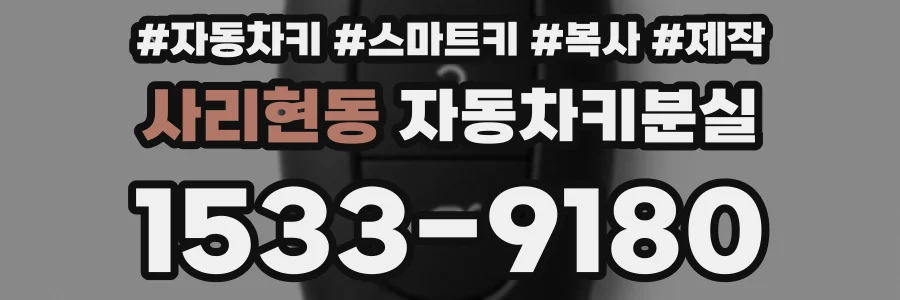 사리현동 자동차키분실