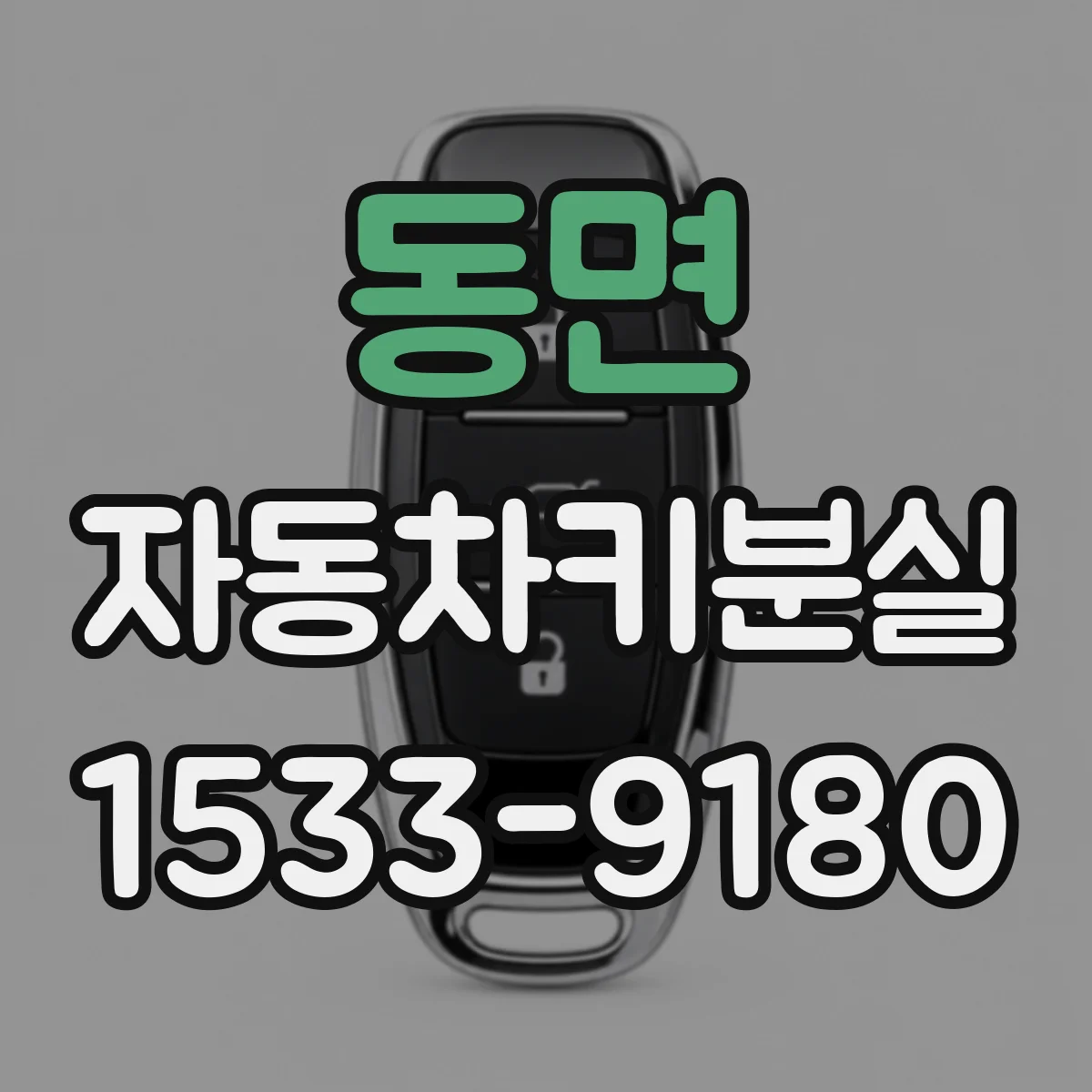 동면 자동차키분실