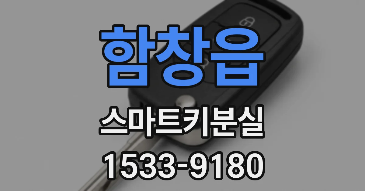 함창읍 스마트키분실