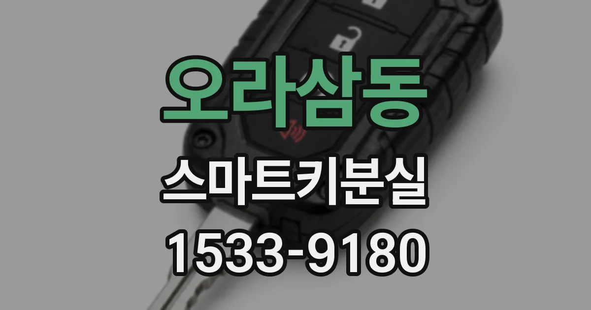 오라삼동 스마트키분실