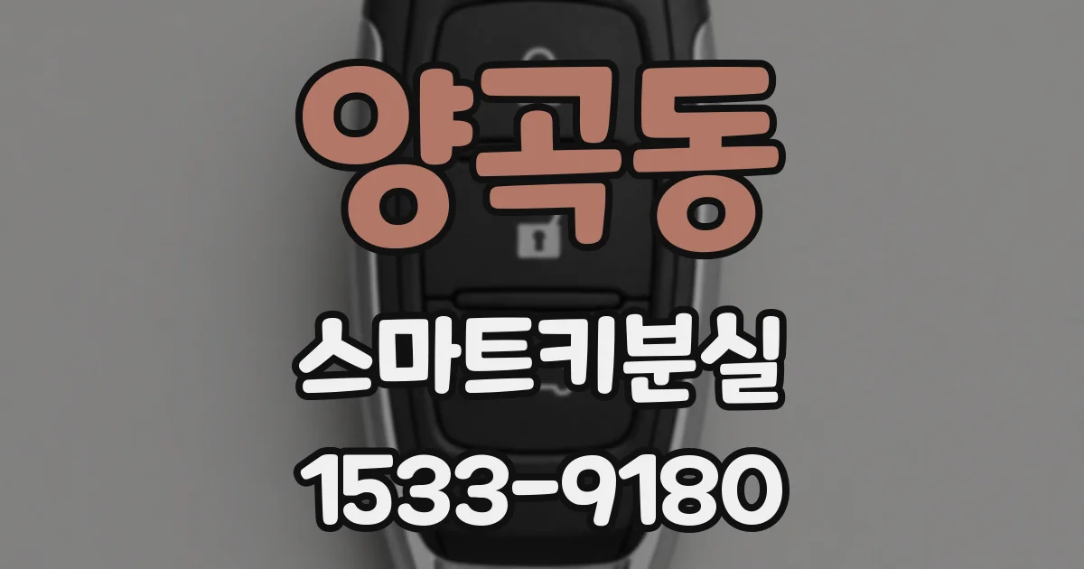 양곡동 스마트키분실