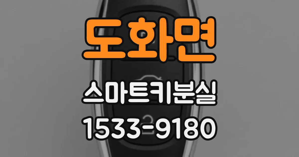 도화면 스마트키분실