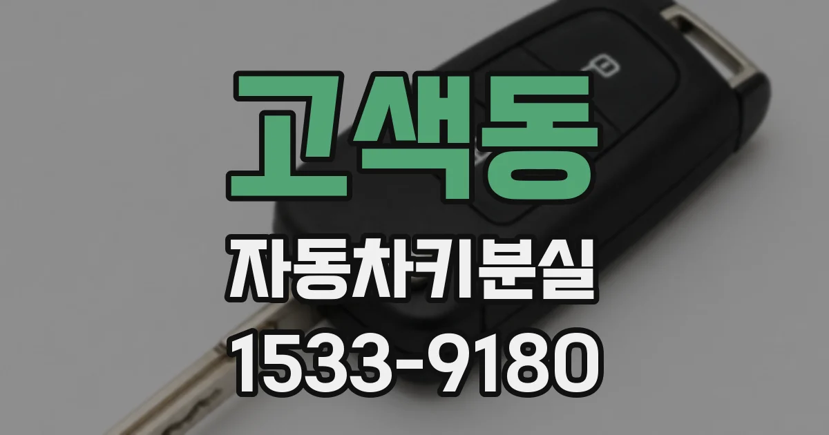 고색동 자동차키분실