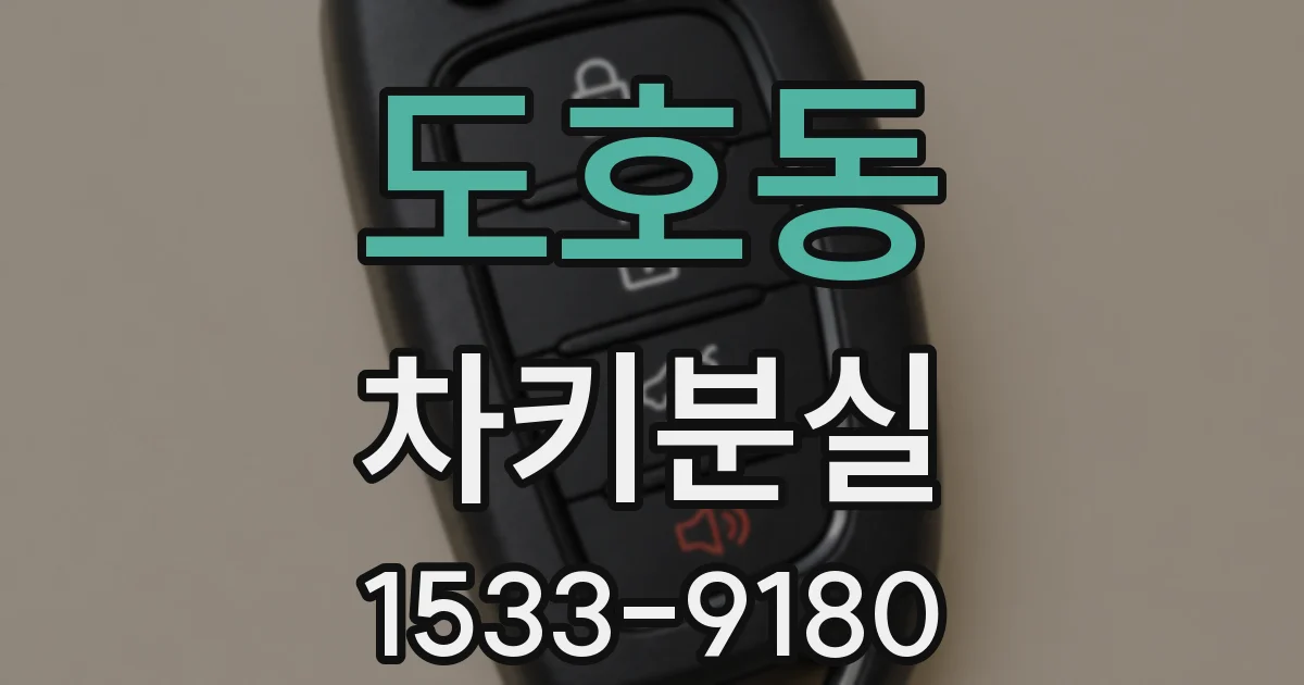도호동 차키분실