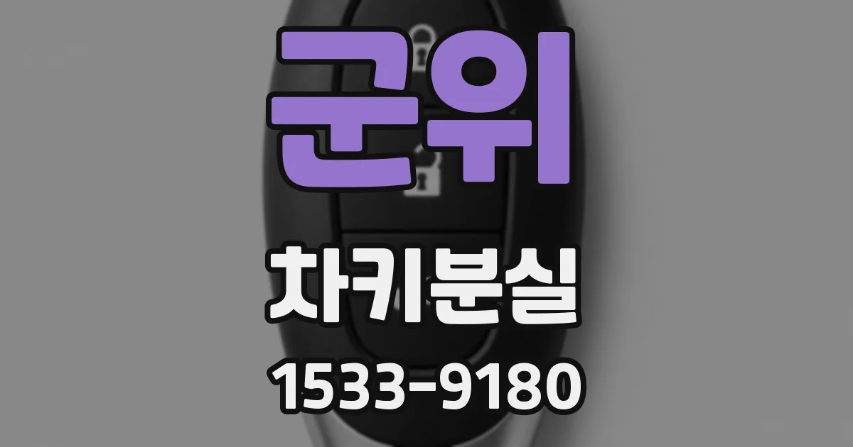 군위 차키분실