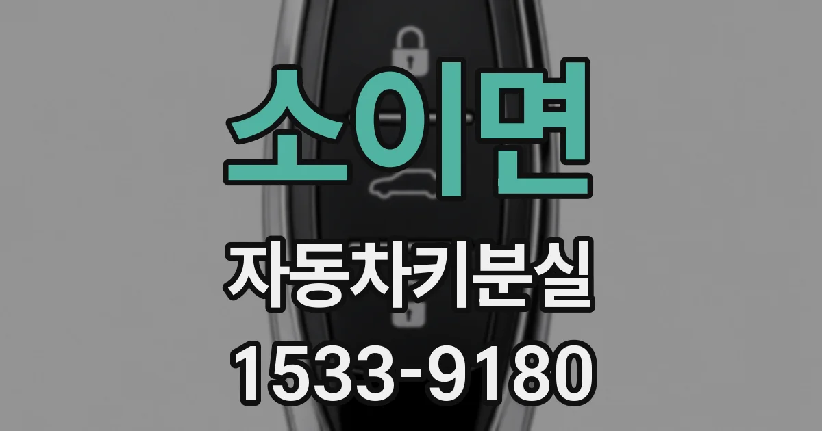 소이면 자동차키분실