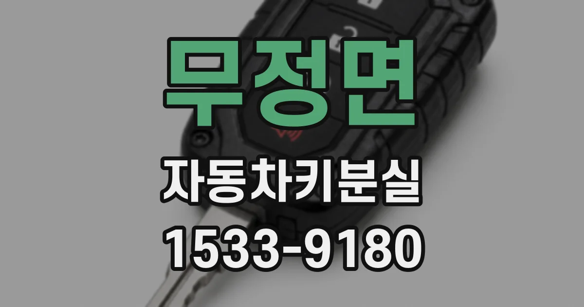 무정면 자동차키분실