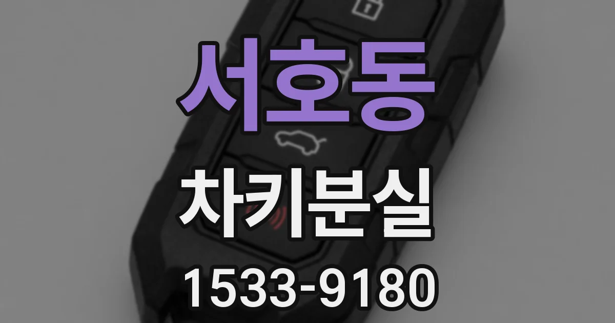 서호동 차키분실