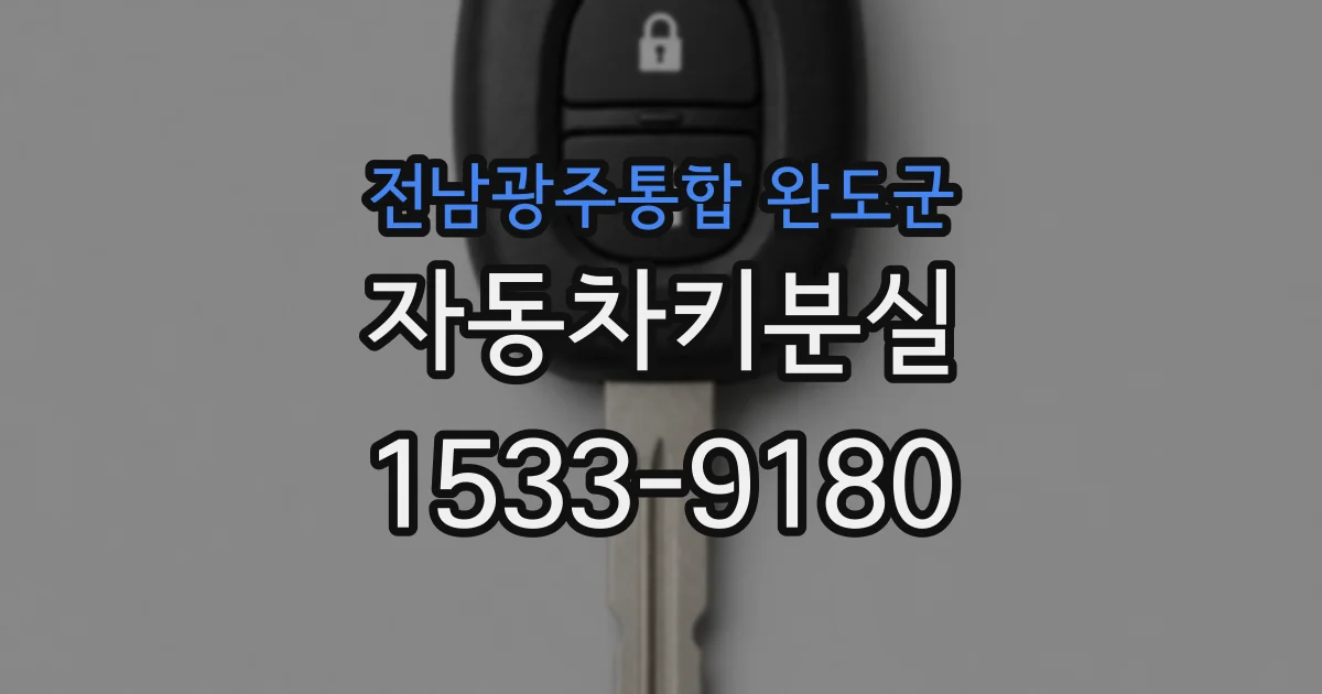 전남광주통합 완도군 자동차키분실