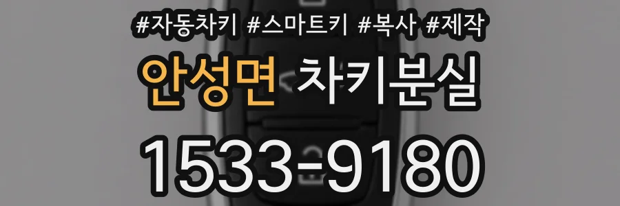 안성면 차키분실