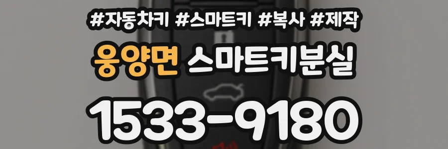 웅양면 스마트키분실