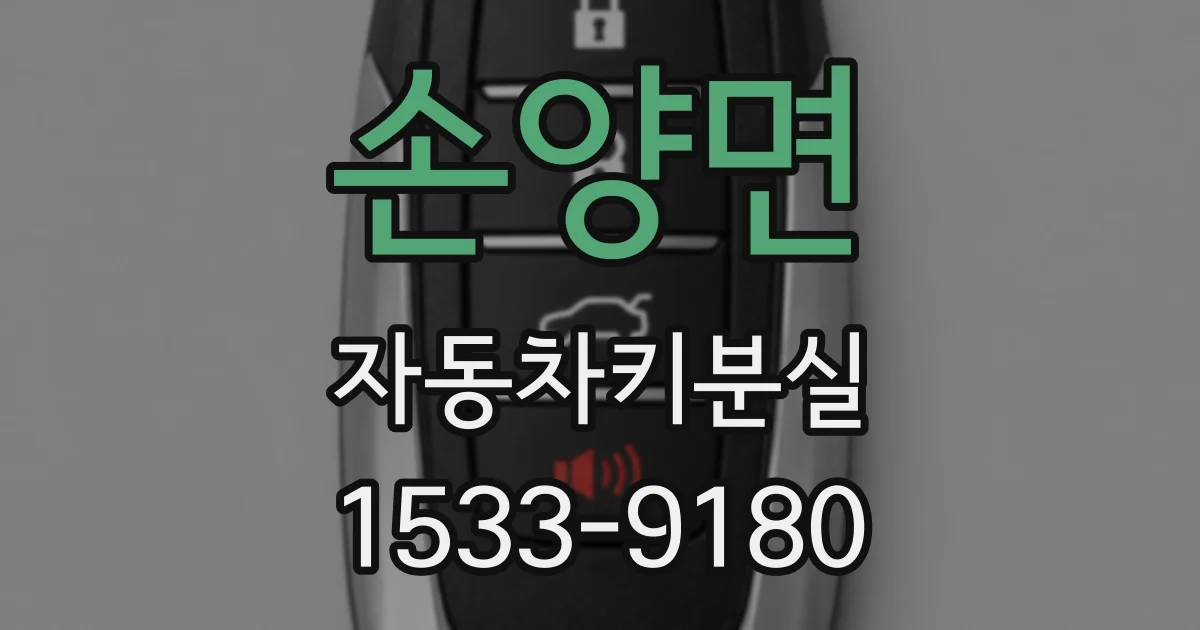 손양면 자동차키분실