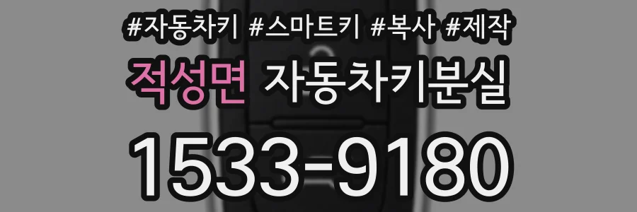 적성면 자동차키분실