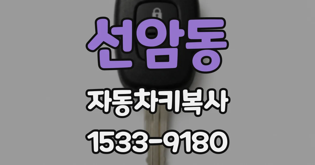 선암동 자동차키복사
