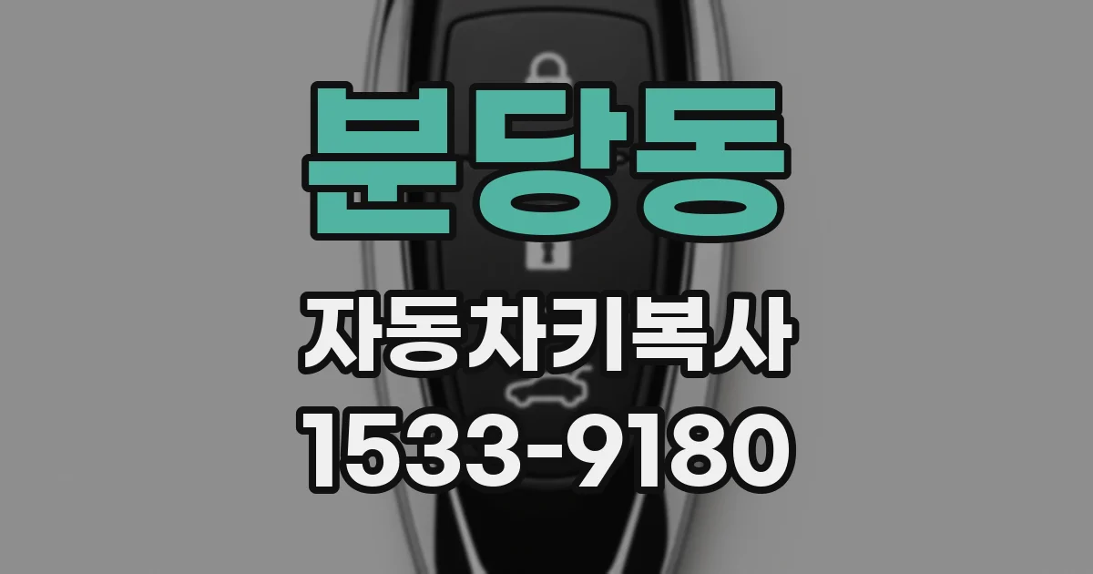 분당동 자동차키복사