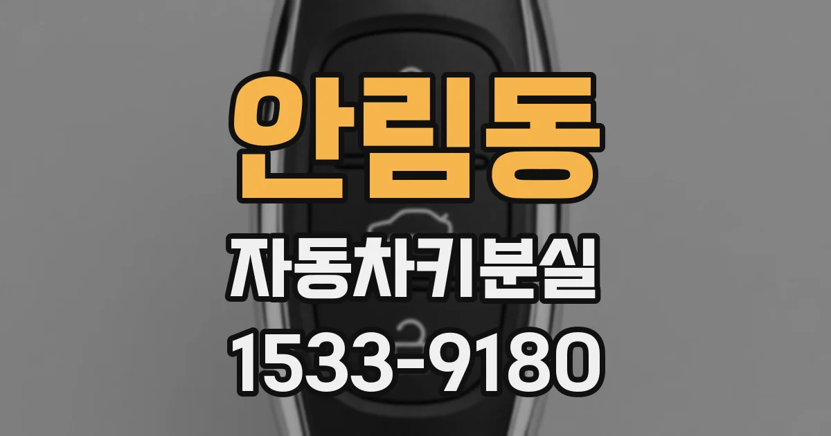 안림동 자동차키분실